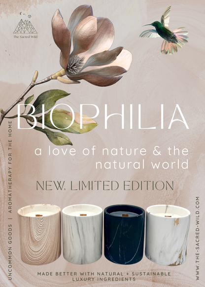 Biophilia:  Gold & White Marble Labdanum Scented Candle