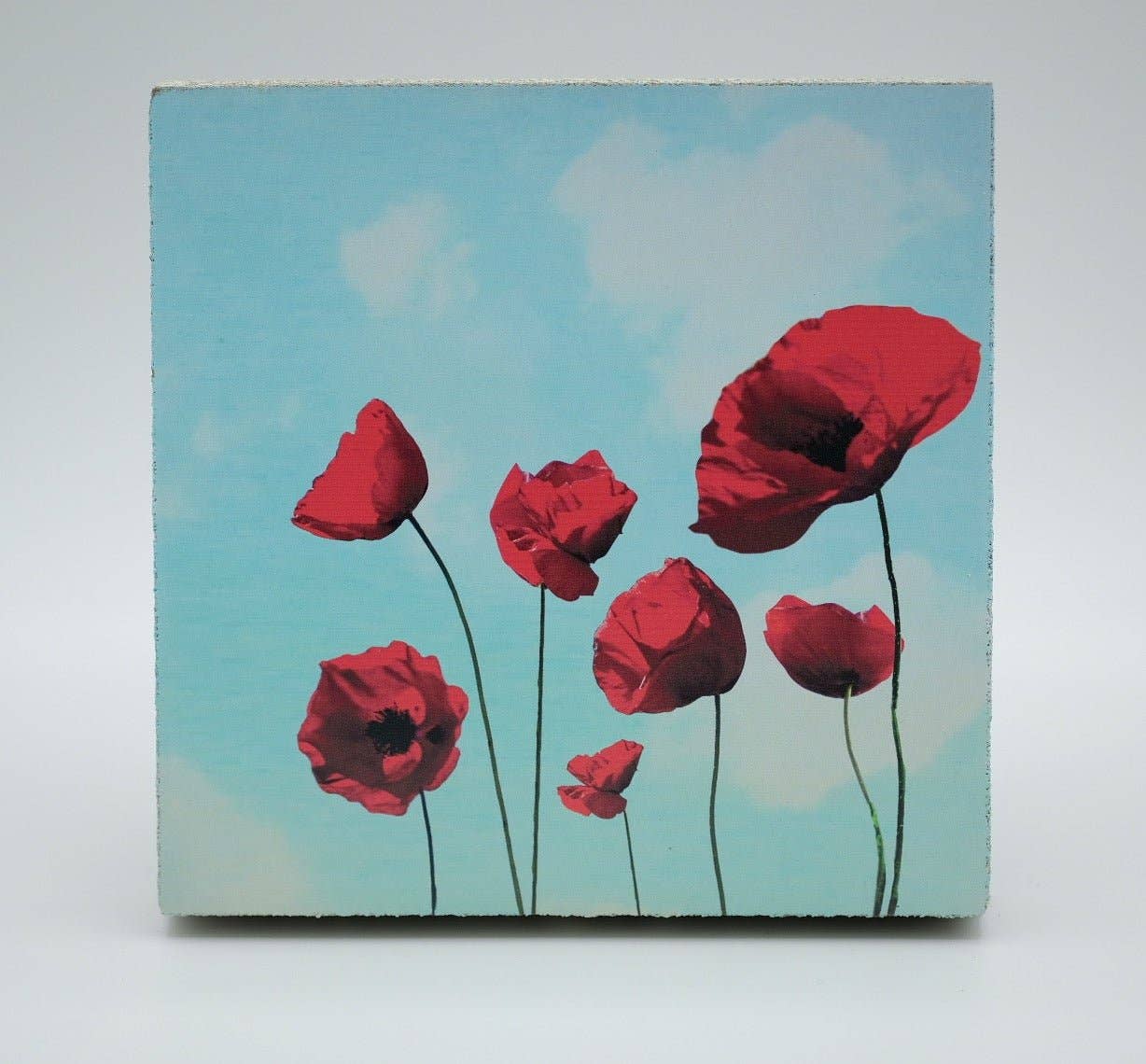 Art Block - Lost & Found - Poppies